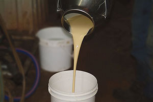 colostrum pooling