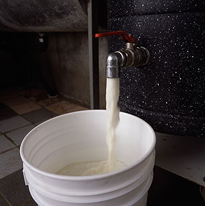 mixed milk replacer