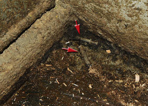 needles-in-gutter