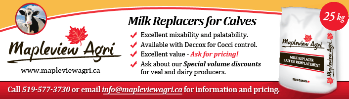 mapleview-banner-final