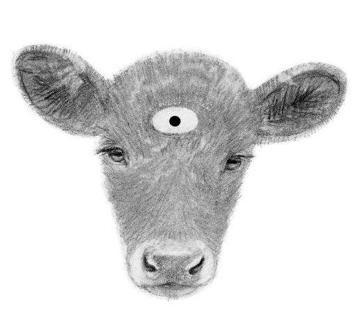 calf-fr