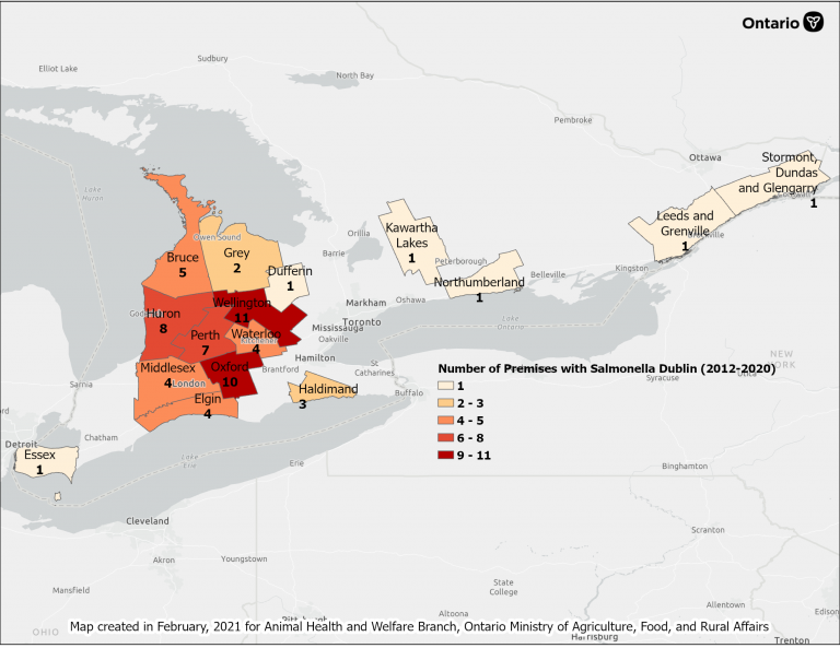 Salmonella Dublin - CalfCare.ca