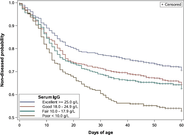 Effects of colostrum management on transfer of passive immunity