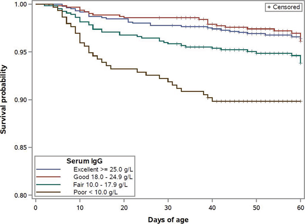 Effects of colostrum management on transfer of passive immunity