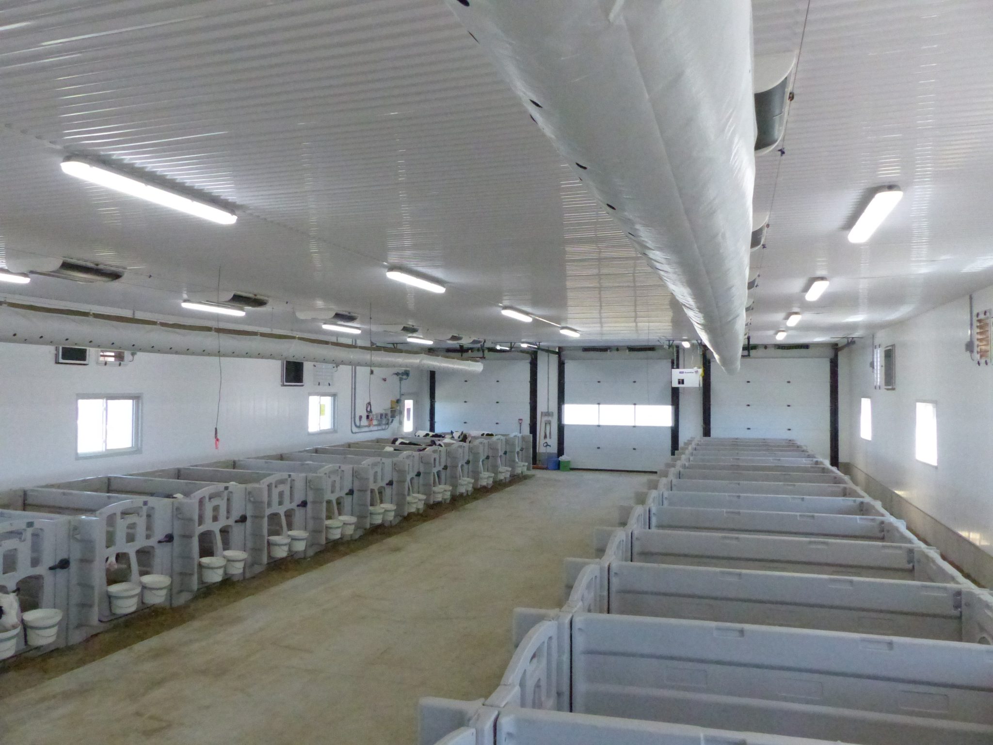 Calf barn ventilation options when building new - CalfCare.ca